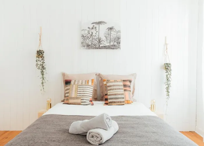 Apartment Coachella Vintage Chic In The Heart Of St Charles